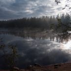 Rund um den Oderteich
