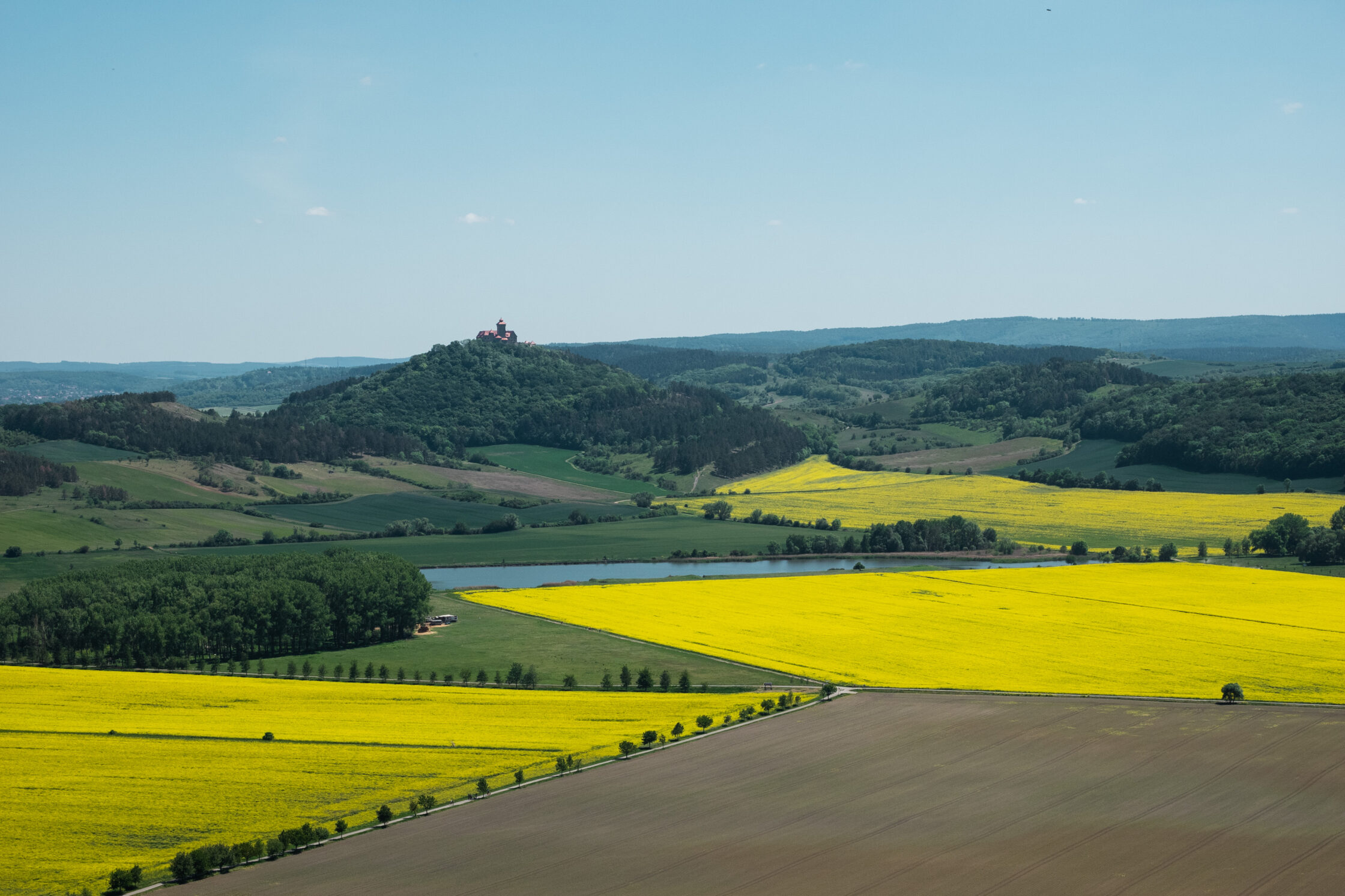 Thüringen entdecken: Burgen, Wälder, Flüsse