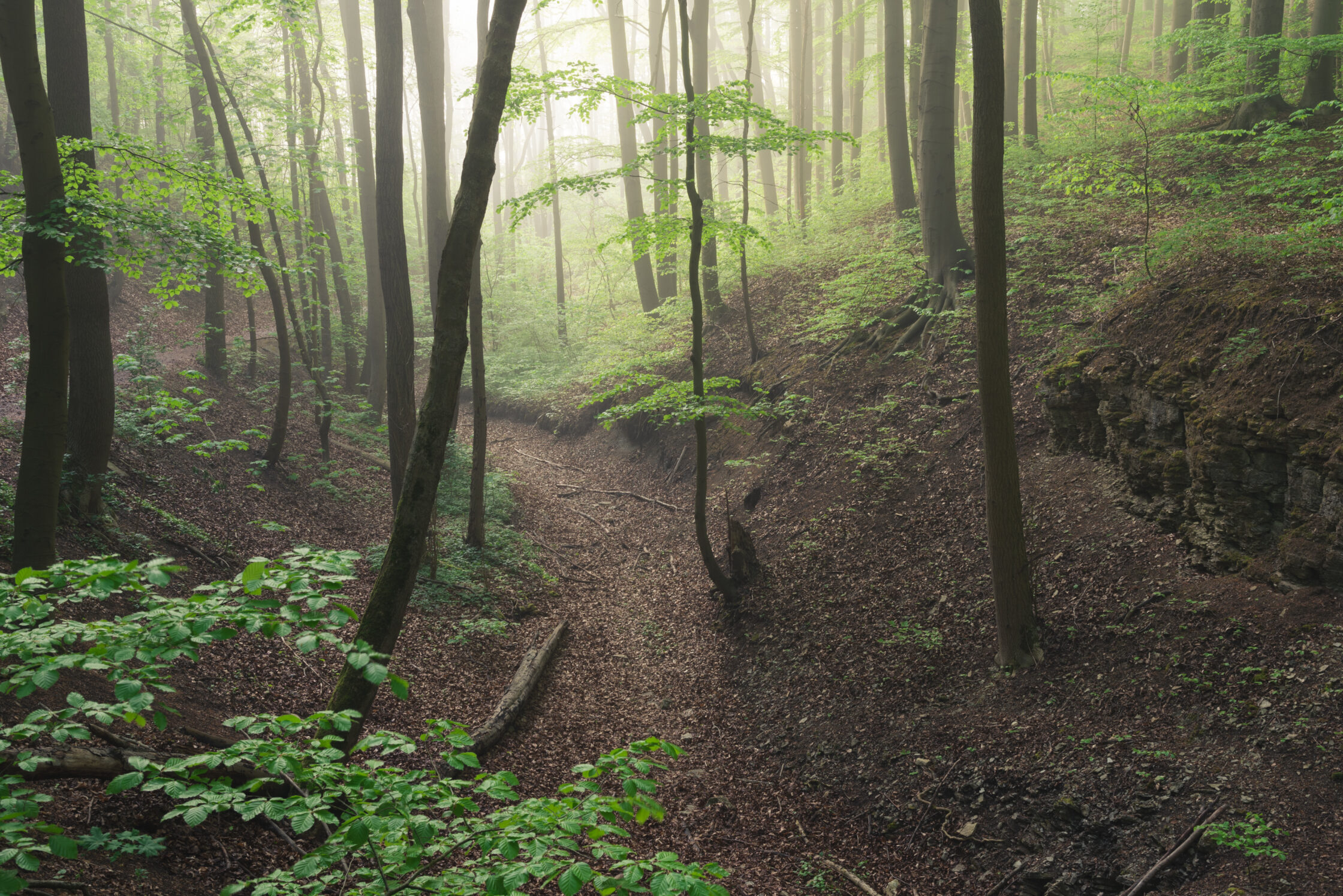 Die Saale-Horizontale in Bildern: Durch das Rautal zum Napoleonstein
