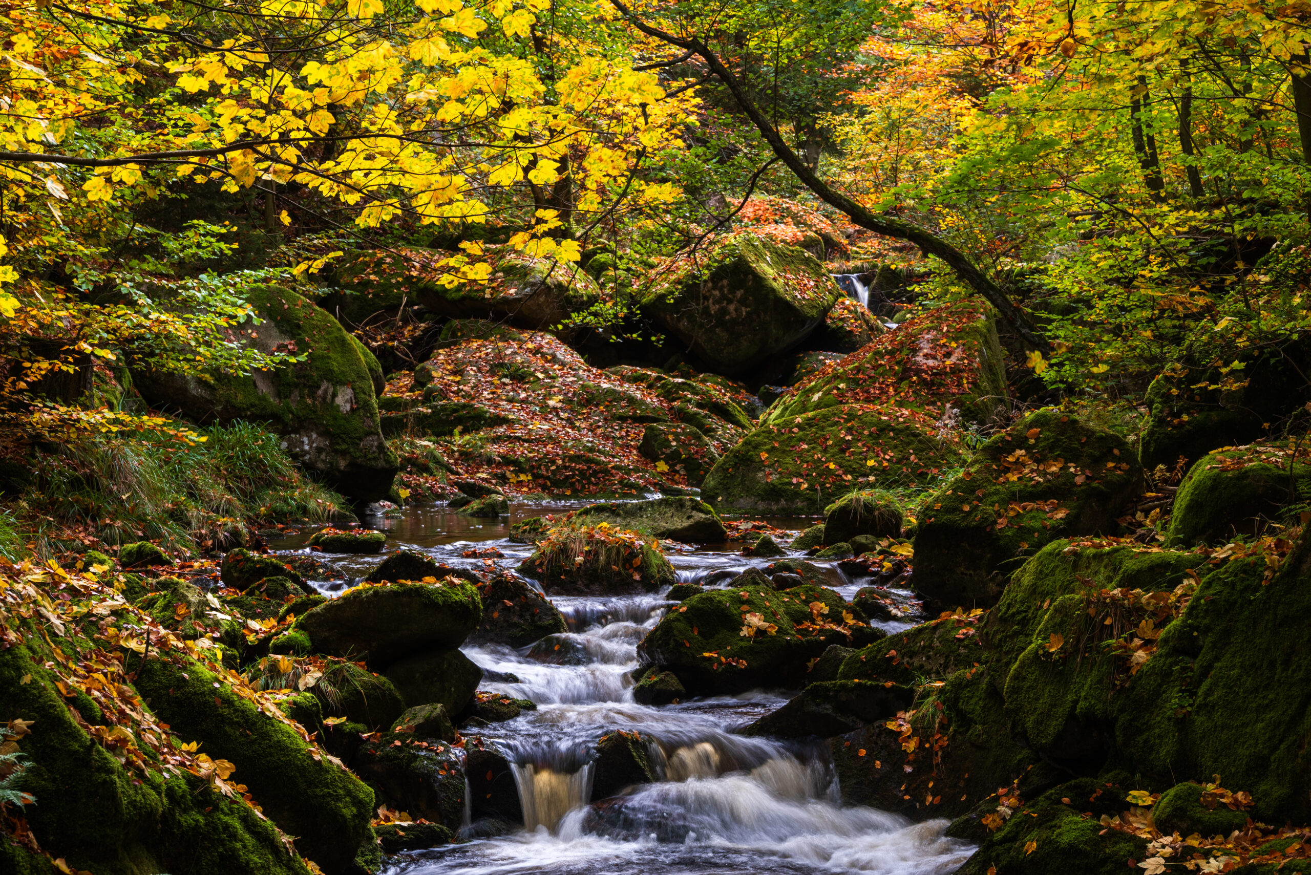 Ilsetal im Herbst mit Kinderwagen